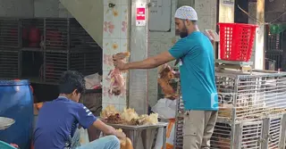 মানিকগঞ্জে ক্রেতা সংকট; কমেছে মুরগির দাম